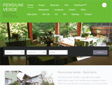 Tablet Screenshot of pensiuneaverde.com